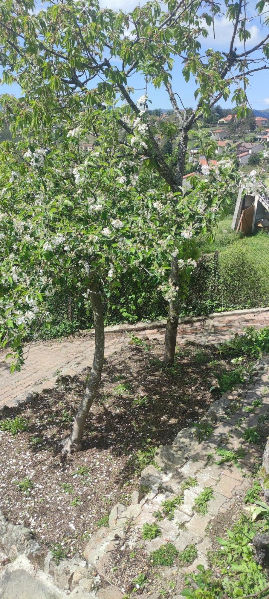 La Petite Maison D'Hose Monistrol-sur-Loire Zewnętrze zdjęcie